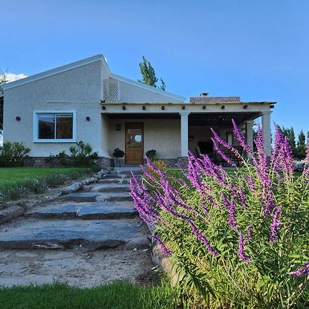 Casas Vinedos De Cafayate Alquiler Temporario Eksteriør bilde