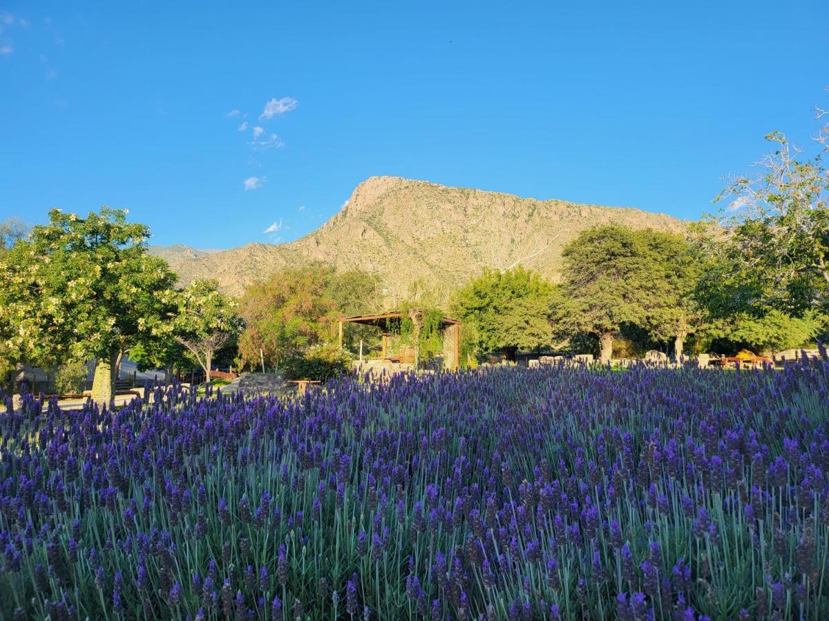 Casas Vinedos De Cafayate Alquiler Temporario Eksteriør bilde